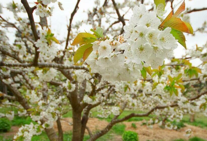 בית מלון כפרי Elvenhome Farm
