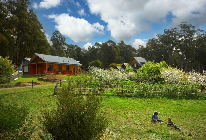 בית מלון כפרי Elvenhome Farm