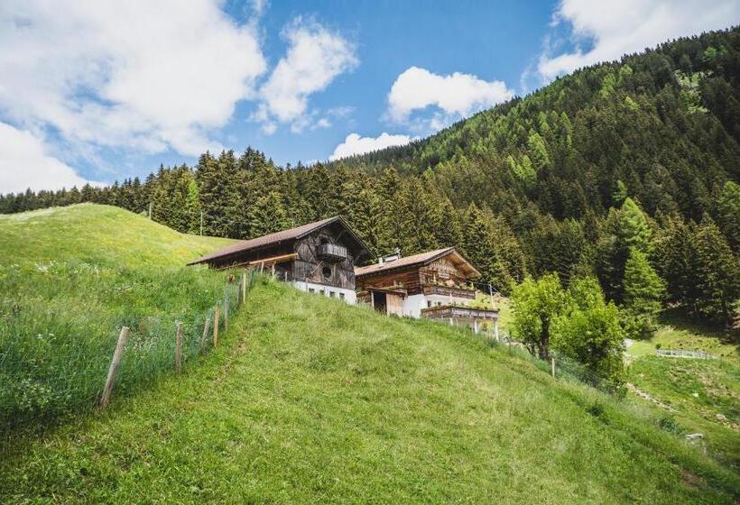 酒店 Ferienwohnungen Wiesbauer