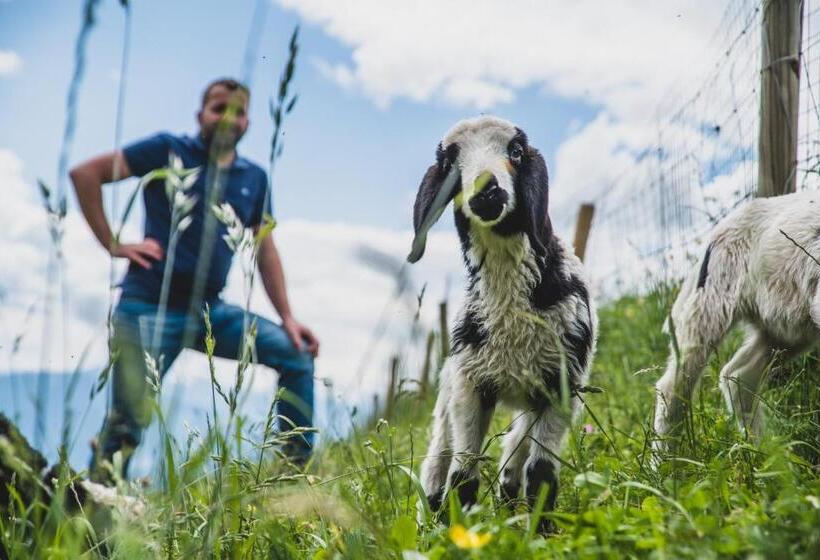 酒店 Ferienwohnungen Wiesbauer