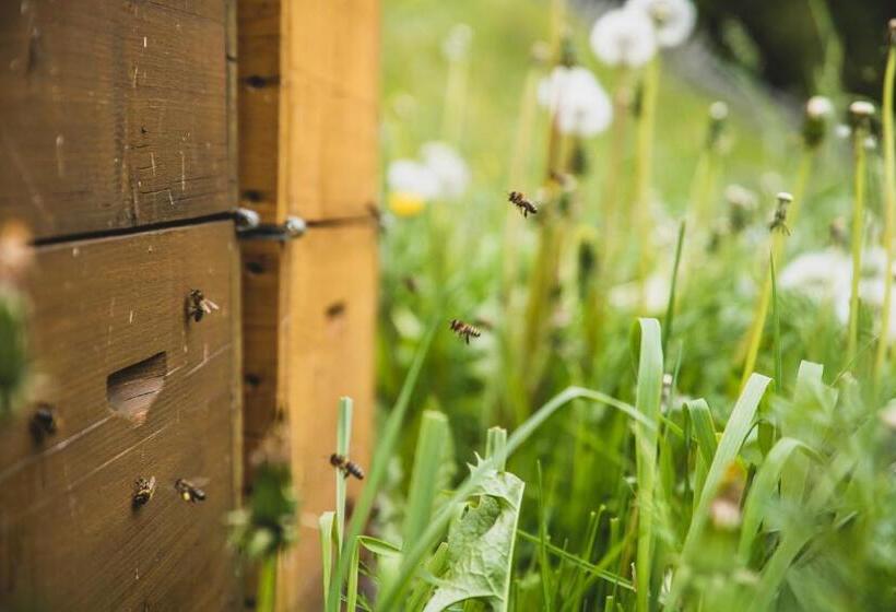 酒店 Ferienwohnungen Wiesbauer