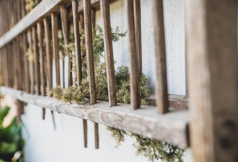 酒店 Ferienwohnungen Wiesbauer