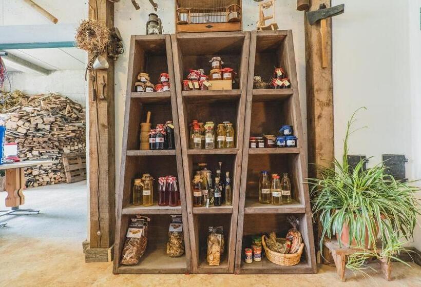 酒店 Ferienwohnungen Wiesbauer