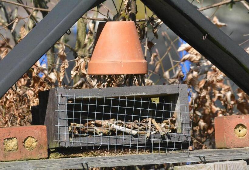 فندق Le Fagotin   Youth Hostel