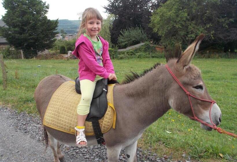 فندق Le Fagotin   Youth Hostel