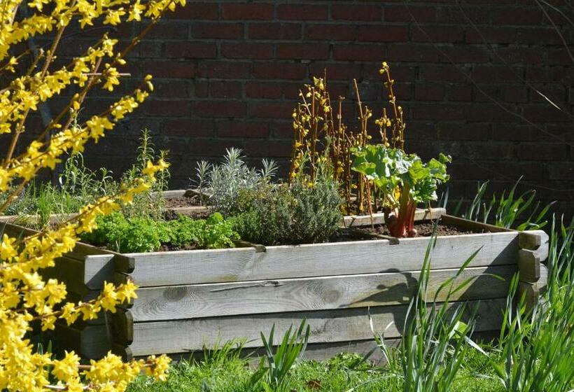 فندق Le Fagotin   Youth Hostel