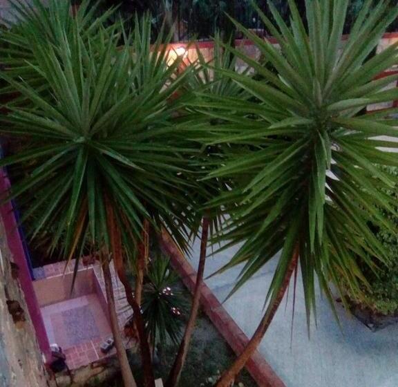 فندق Mirador Real