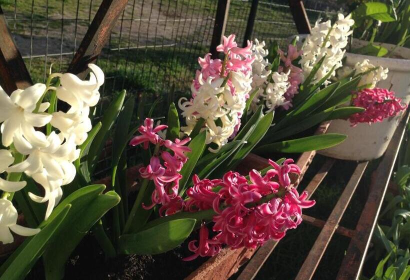 Отель Paglia&fieno