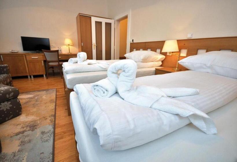 호텔 Pod Zeleným Dubem