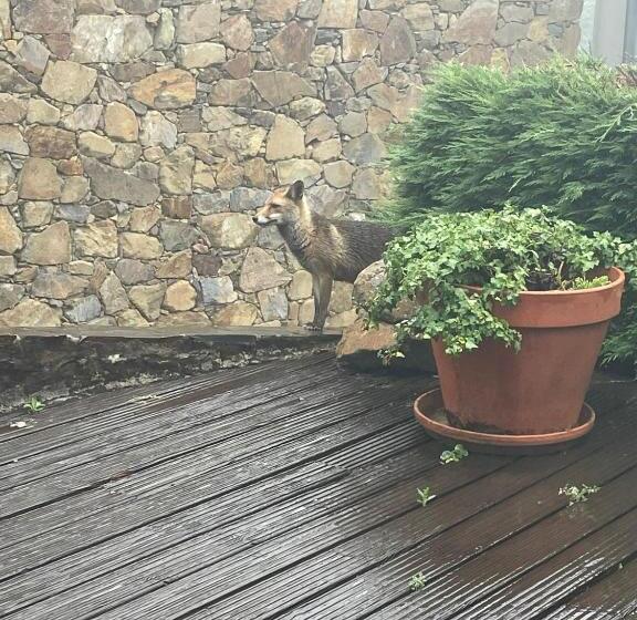 호텔 Pátio Do Xisto