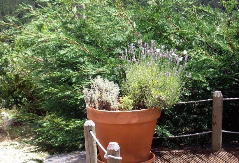 ホテル Pátio Do Xisto