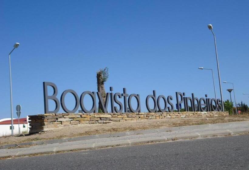 פנסיון Alojamento Local Boavistense