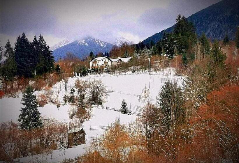 פנסיון Alpina Panoramic