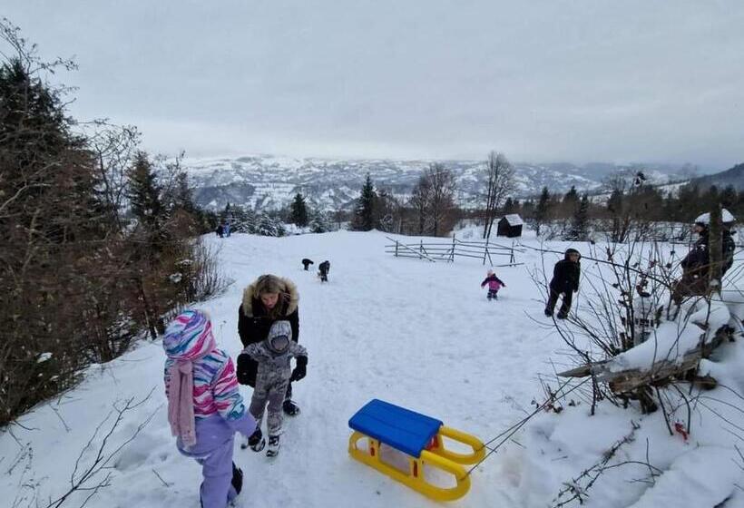 פנסיון Alpina Panoramic