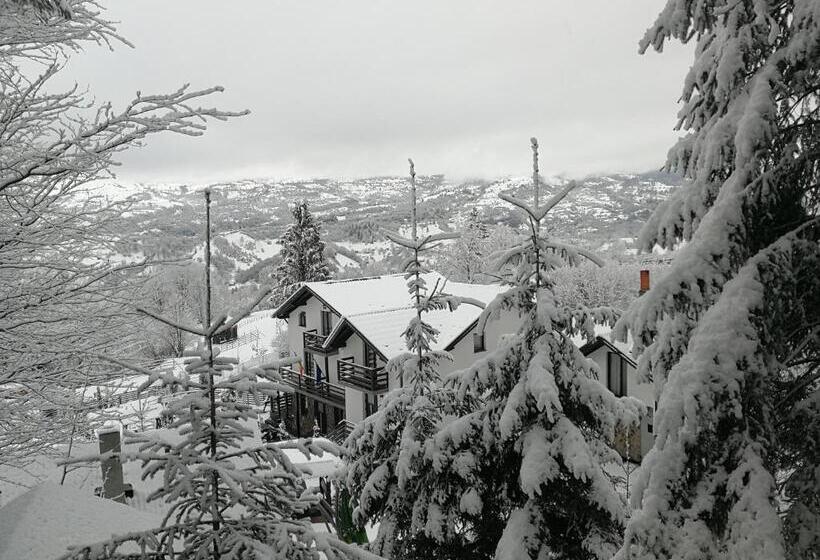 פנסיון Alpina Panoramic