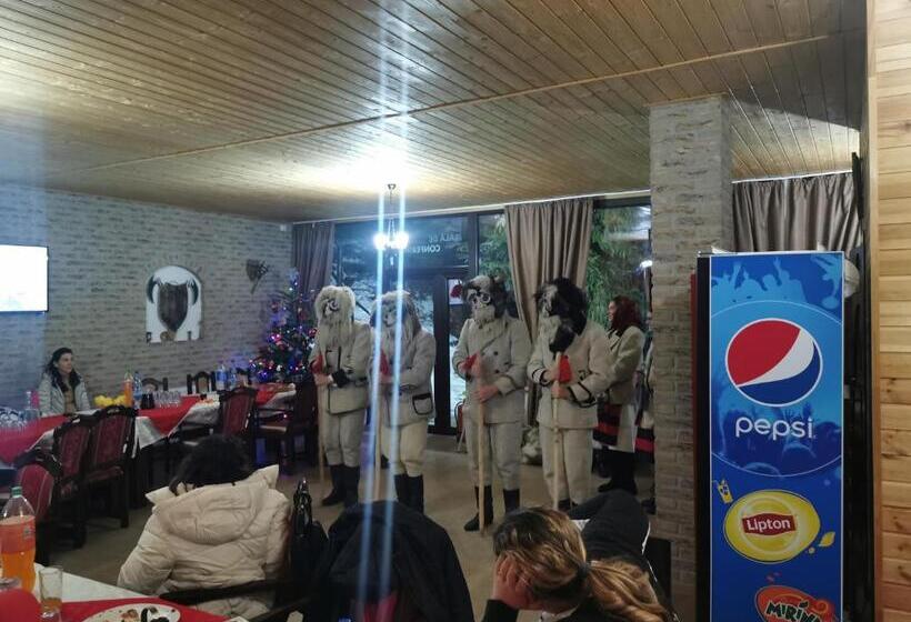 פנסיון Alpina Panoramic