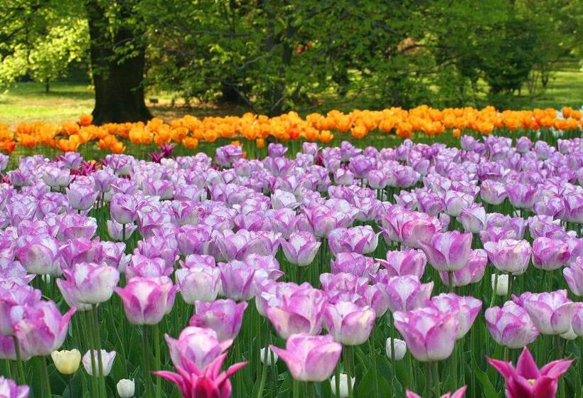 펜션 Archi E Colonne