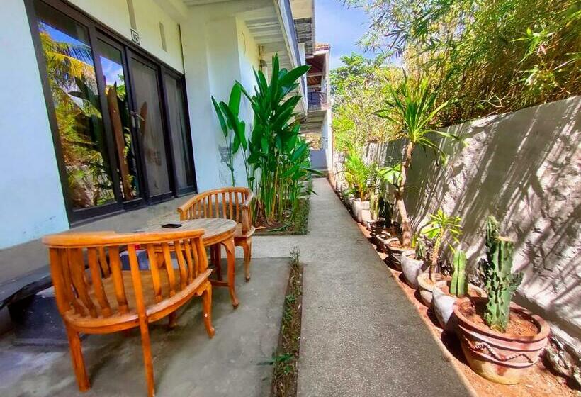 بنسيون Bali Yogi