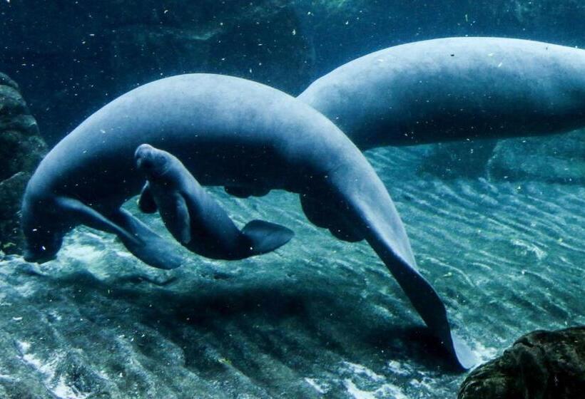 Pension (Hôtel basse catégorie) Casa Mama Guesthouse