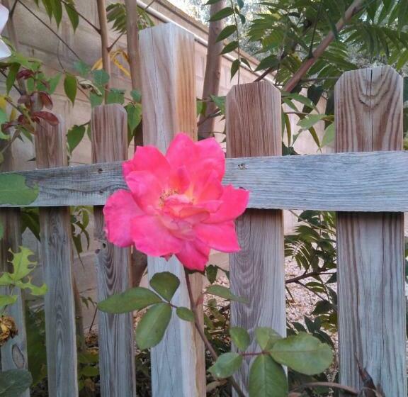 펜션 Casa Rural Alicia