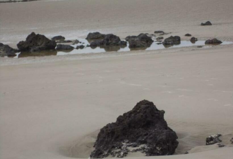 Пансион Chateu Soneca