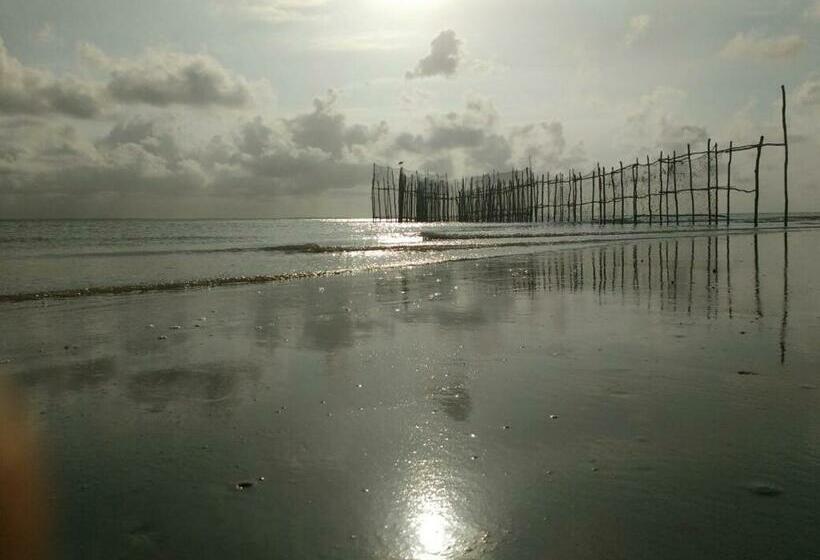 Пансион Chateu Soneca