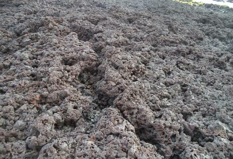 Пансион Chateu Soneca