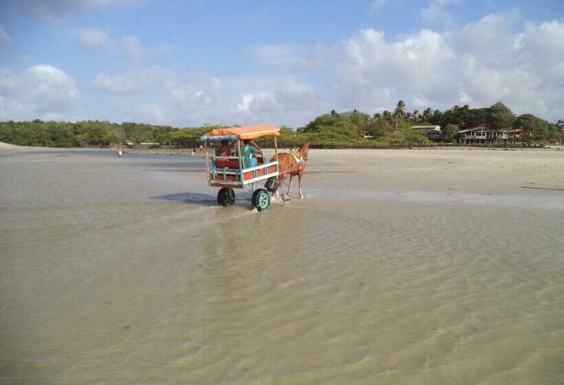 Пансион Chateu Soneca