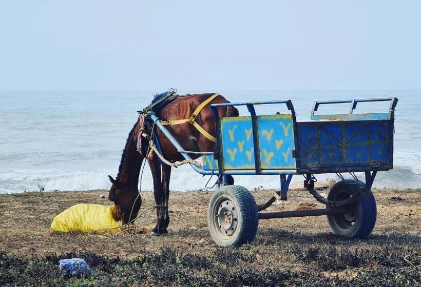 بنسيون Golden Baibah