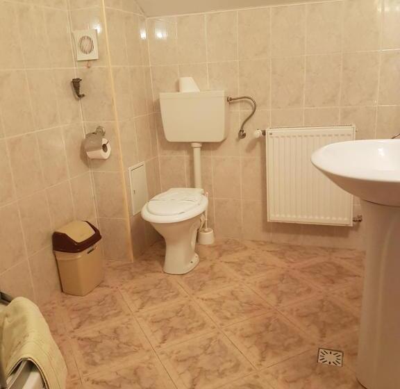 펜션 Grandemi Belvedere Bucovina