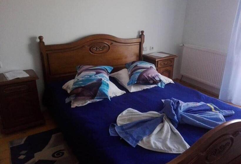 펜션 Grandemi Belvedere Bucovina