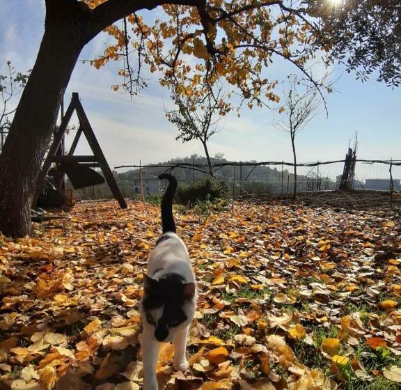 펜션 La Casa Di Ninna Affittacamere