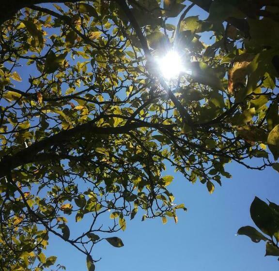 פנסיון La Stella Delle Alpi