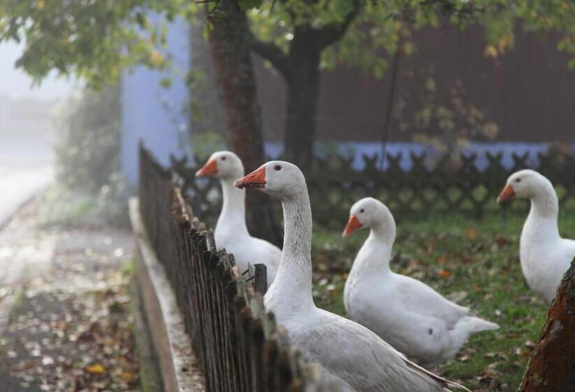 ペンション Luisenhof