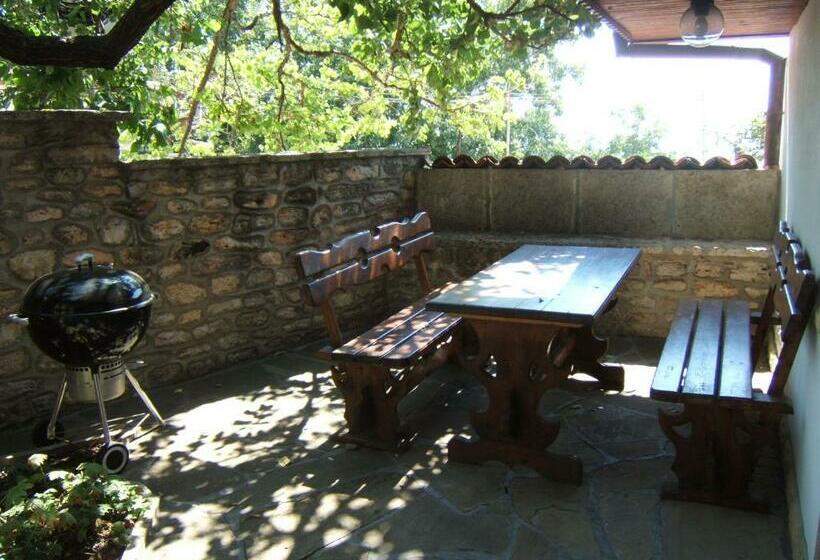 פנסיון Regina S Guesthouse