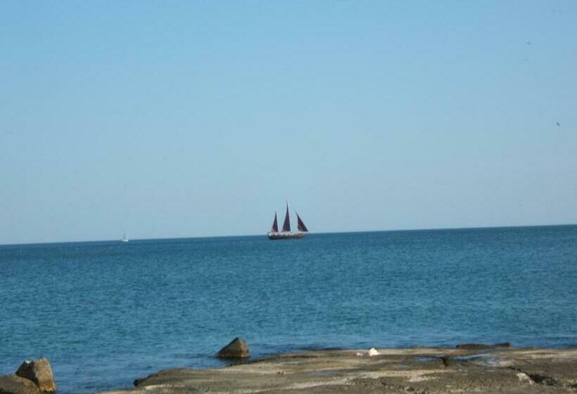 פנסיון Regina S Guesthouse