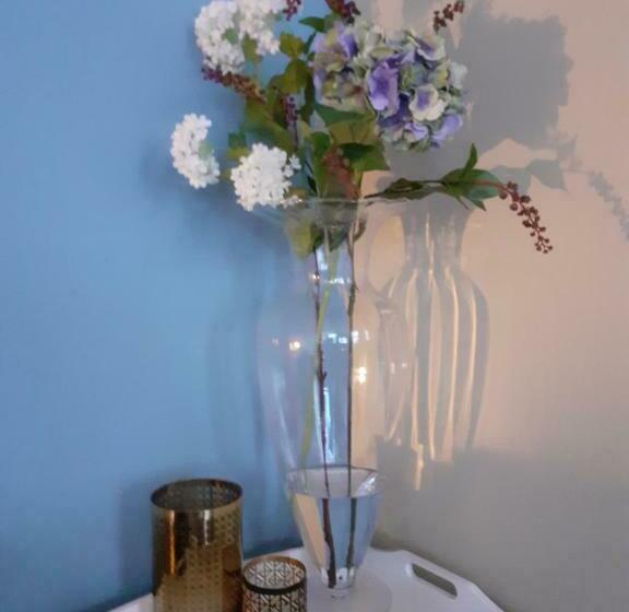 پانسیون Verzorgde Kamer In Monumentenpand