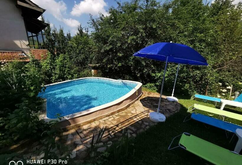 Пансион Villa Aqua