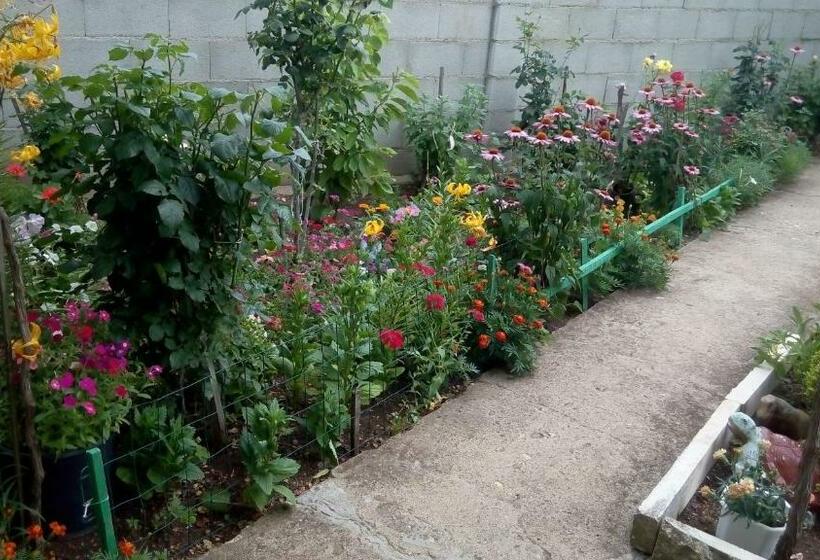 膳宿费 Villa Rozmarin