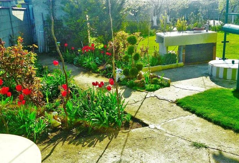 膳宿费 Villa Rozmarin