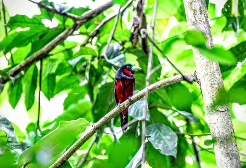 리조트 Kum Nangpaya