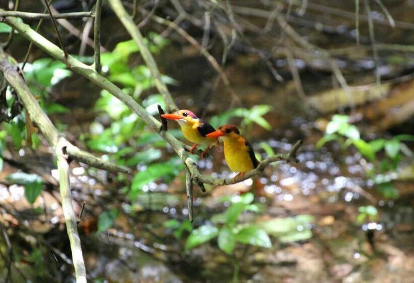 리조트 Kum Nangpaya