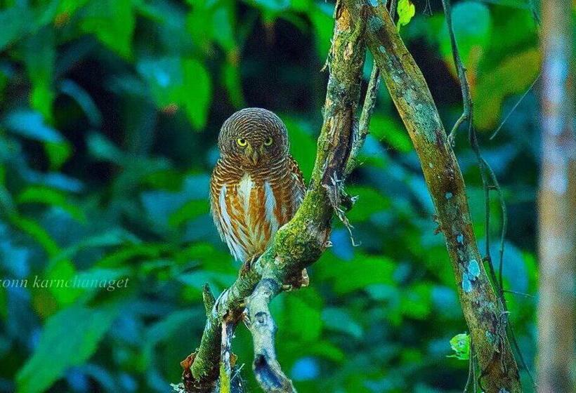 리조트 Kum Nangpaya