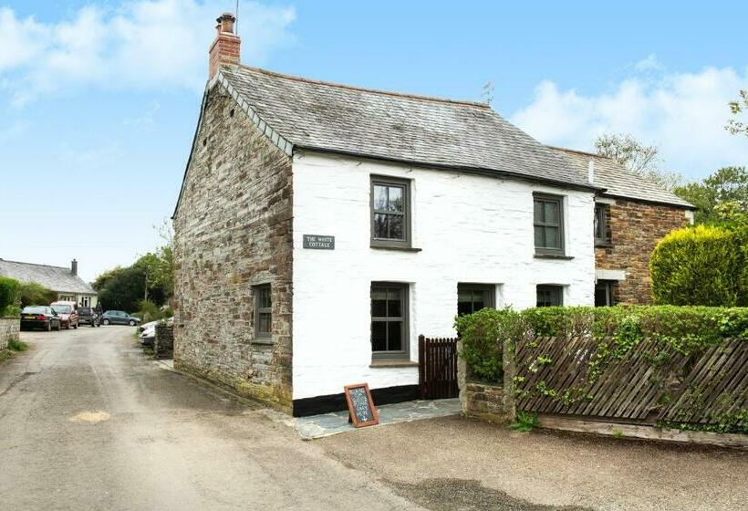 The White Cottage B&b