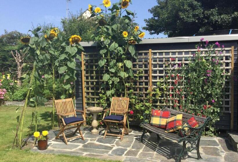 The White Cottage B&b