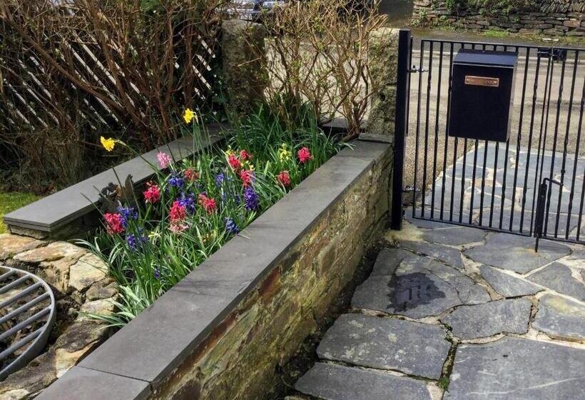 The White Cottage B&b