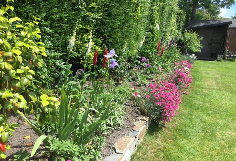 The White Cottage B&b