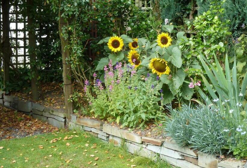 The White Cottage B&b