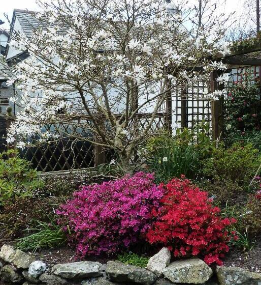 The White Cottage B&b