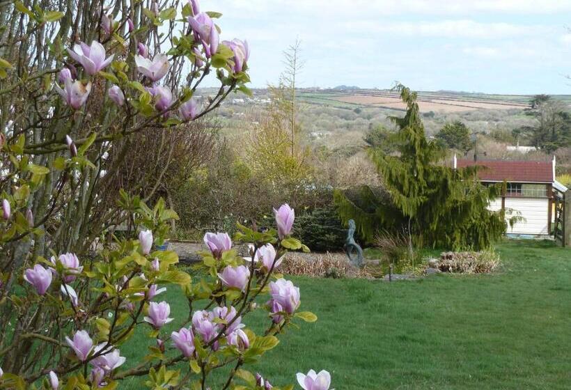 The White Cottage B&b